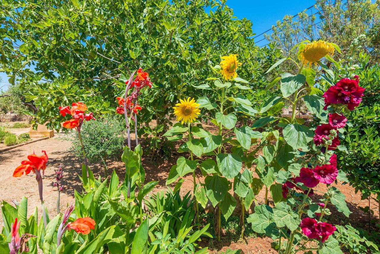 Clau De Sol Villa Can Picafort  Ngoại thất bức ảnh