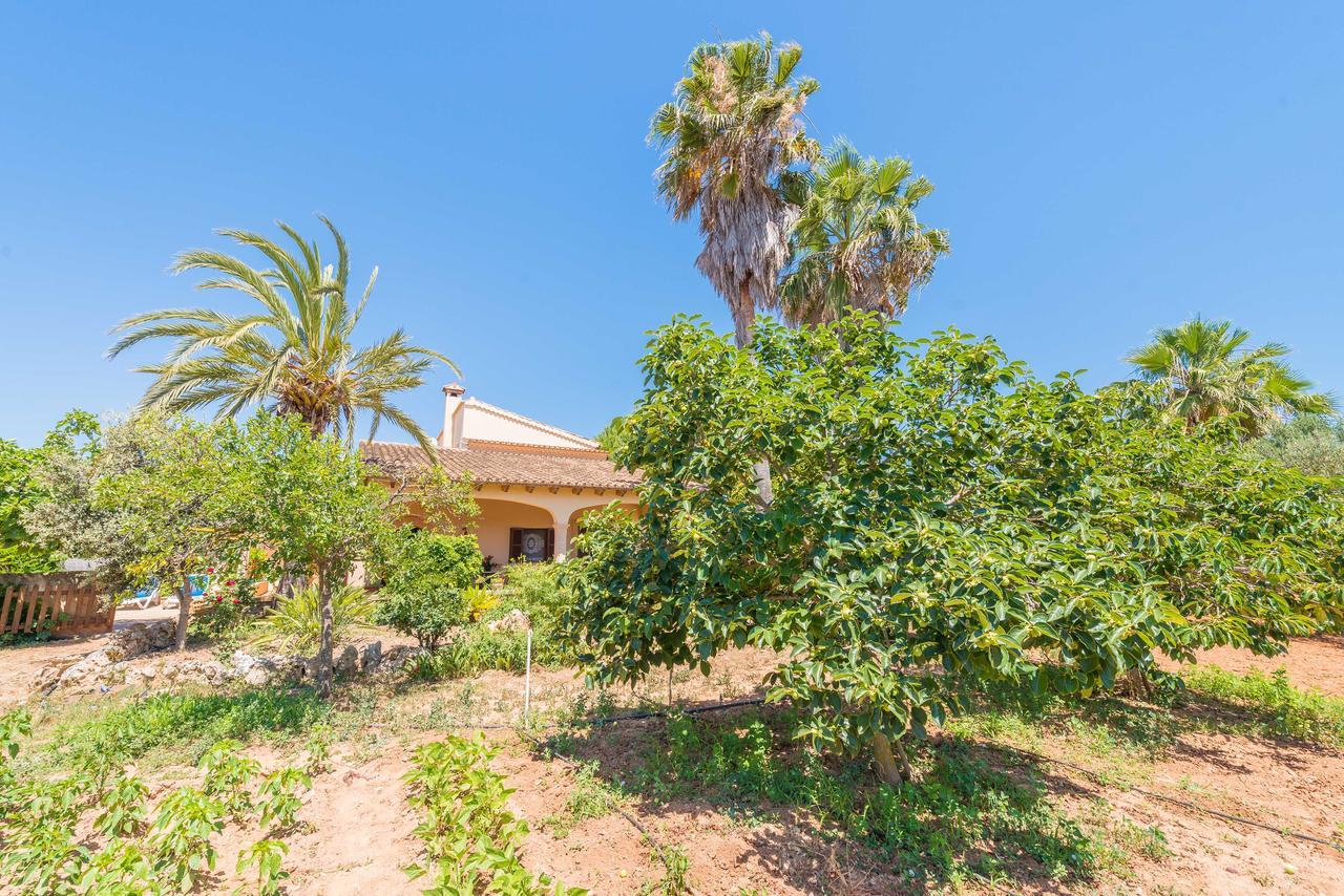 Clau De Sol Villa Can Picafort  Ngoại thất bức ảnh