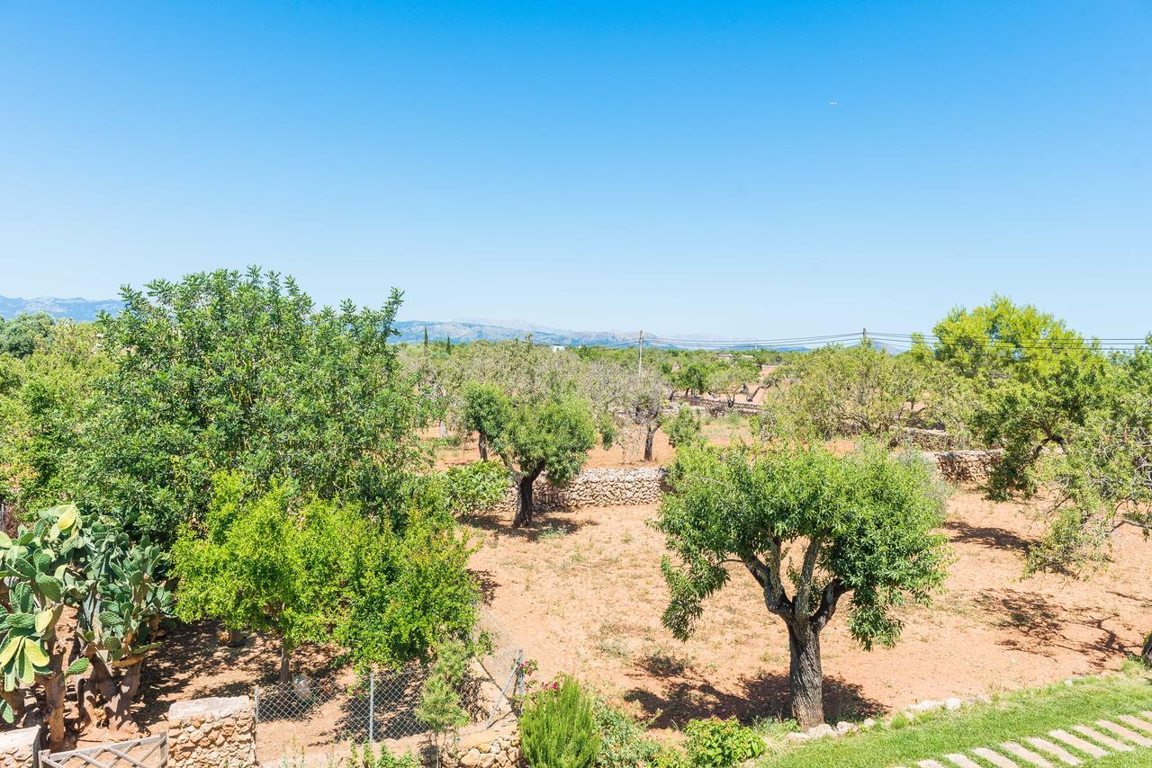 Clau De Sol Villa Can Picafort  Ngoại thất bức ảnh